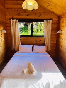 1 cama en una cabaña de madera con ventana grande en Sunny Beachview Homestay Auckland, en Auckland