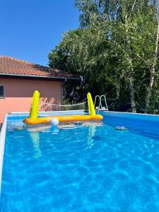 een zwembad met een glijbaan in het midden van het water bij Gugi House in Borča