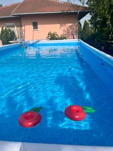 twee rode frisbees in een blauw zwembad bij Gugi House in Borča