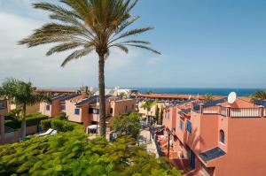 a palm tree in the middle of a city at Meloneras Suites in Meloneras