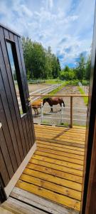 zwei Pferde stehen auf einer hölzernen Veranda mit einer Tür in der Unterkunft BB Polle - with the horse view in Mikkeli