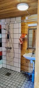 ein Bad mit einem Waschbecken und einer Dusche in der Unterkunft BB Polle - with the horse view in Mikkeli
