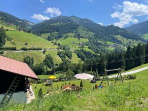 Príroda v okolí apartmánu