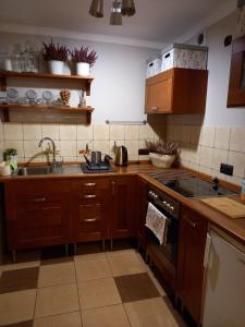 Kuchyň nebo kuchyňský kout v ubytování Apartamenty no3