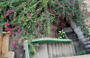 a green planter with pink flowers on the stairs at Tabassam House in Lamu