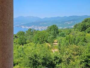 Gallery image of Magic Eden Rijeka in Rijeka