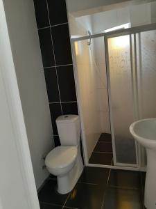 La petite salle de bains est pourvue de toilettes et d'un lavabo. dans l'établissement Sevo Hotel, à Ayvalık