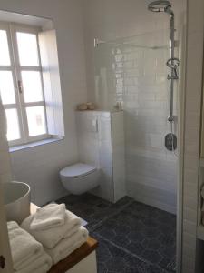 uma casa de banho com um WC e um chuveiro com toalhas em Villa Riva, Vis em Vis