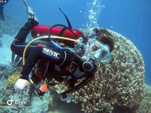 uma pessoa com uma máscara de mergulho num recife de coral em Al-Amer Chalets em Aqaba