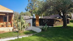 una casa con un cactus delante de un patio en Villa Relax tra gli Ulivi, en Alghero