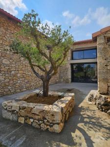 a tree in a stone planter in front of a building at Villa & Spa Luxuria in Massels