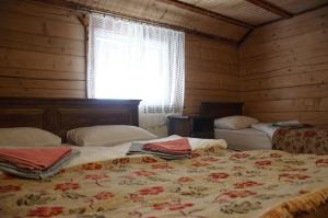 a bedroom with two beds and a window at ДАН in Dragobrat