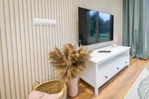 a living room with a tv and a white dresser at Comfort Apartments Oświęcim in Oświęcim