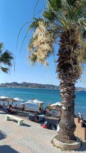 a palm tree on a beach with people sitting under umbrellas at Restaurant Maria Suites SunSet in Faliraki