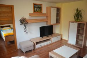 a living room with a flat screen tv on a wall at Apartments Arh in Bohinj