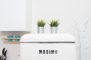 a refrigerator with plants on top of it in a kitchen at Cosy and Suits apartment in Jerusalem