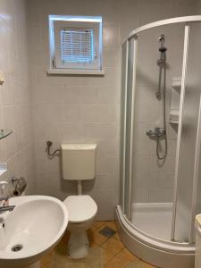 a bathroom with a toilet and a sink and a shower at Apartment Vivoda in Štinjan