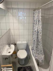 a small bathroom with a toilet and a sink at Art Deco - Two bedroom apartment in Ghent