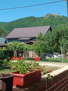 una casa con algunas plantas delante de ella en Kuca za odmor Una-Mia en Kulen Vakuf