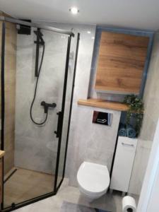 a bathroom with a shower with a toilet and a shower at Apartament Syrenka przy jeziorze Czos in Mrągowo
