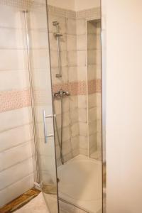 y baño con ducha y puerta de cristal. en Chata Fajfrtka, en Janov nad Nisou