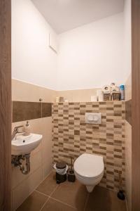 un baño con inodoro y lavabo en Russet Lodge Apartment, en Budapest 18 fotos más