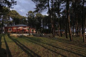 a house in the middle of a field with trees at Oxygen Hotel in Shekvetili