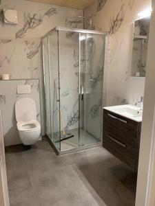 een badkamer met een douche, een toilet en een wastafel bij Luxe vakantielodge in Callantsoog aan zee in Callantsoog