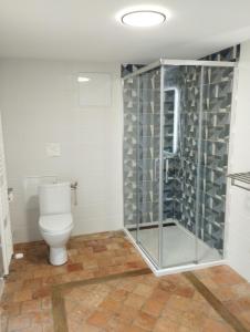 W łazience znajduje się toaleta i przeszklony prysznic. w obiekcie Chambres d'hôtes La Tour de Bellevue w mieście Saumur