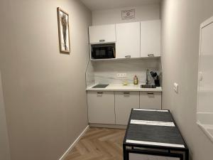 Küche/Küchenzeile in der Unterkunft Aparthotel Lenau