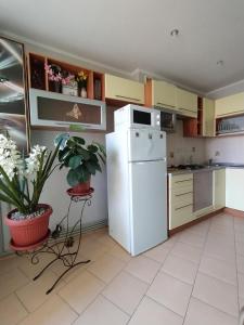 a kitchen with a white refrigerator and a potted plant at Центр города, чистые, аккуратные с хорошим ремонтом квартиры посуточно in Poltava