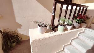 Zdjęcie z galerii obiektu Dedalos n2 Mountain View apartment-30 metres from the beach w mieście Stalida