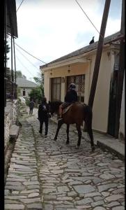 deux policiers sur un cheval marchant dans une rue dans l'établissement Αρχοντικό Θεανώ 1 Archontiko Theano 1, à Agios Lavrentios