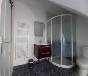 a bathroom with a shower and a sink and a toilet at Les Lys in Cricquebœuf +27 photos