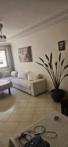 een woonkamer met een bank en een potplant bij Superbe appartement à Marrakech quartier Majorelle 2 chambres in Marrakesh