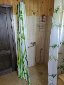 a bathroom with a shower with a shower curtain at Zvaigznītes in Aglona