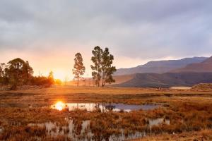 una puesta de sol en un campo con dos árboles y un estanque en Bergview Farm Cottages, en Underberg