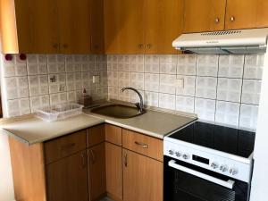 a kitchen with a sink and a stove at Polynikis Apartment in Nikiti