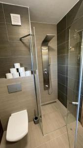 uma casa de banho com um WC e uma cabina de duche em vidro. em Apartmán Černá v Pošumaví em Černá v Pošumaví