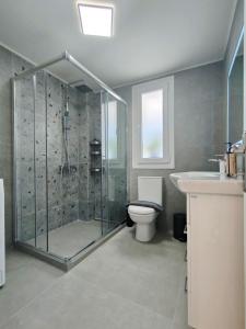 a bathroom with a shower and a toilet and a sink at The Old Stables Apartment in Vátos +46 photos