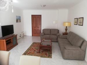 a living room with a couch and a tv at Apartamento Saint Martin in Armação de Pêra