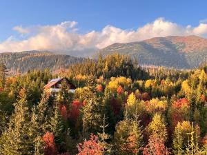 a house in the middle of a forest of trees at Jambrichova chata in Vysoké Tatry