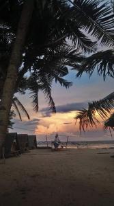 een strand met een palmboom en een zonsondergang bij Tiliponan Nipa Hut in Buenavista