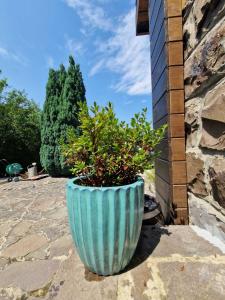Un gran jarrón azul con una planta. en Bényécske Chill & Spa en Erdőbénye