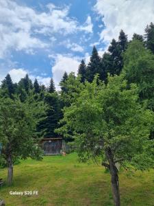 zwei Bäume auf einem Feld mit einem Haus im Hintergrund in der Unterkunft LIO in Glola
