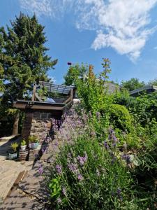 a garden with purple flowers and a bench at Bényécske Chill & Spa in Erdőbénye