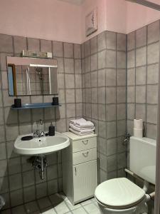 een badkamer met een toilet en een wastafel bij Gästehaus Barbara in Gablitz