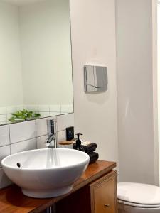 a bathroom with a white sink and a toilet at Petone - Central and Spacious in Lower Hutt