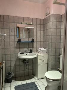 a bathroom with a sink and a toilet at Gästehaus Barbara in Gablitz