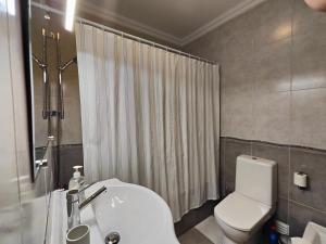 a bathroom with a toilet and a sink and a shower at Vila Limoeiro in Salir de Porto +39 photos